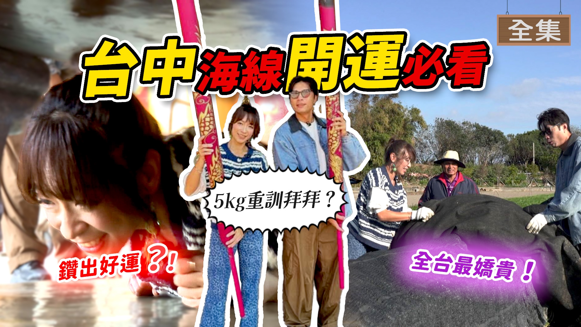 台中-海線暖心之旅